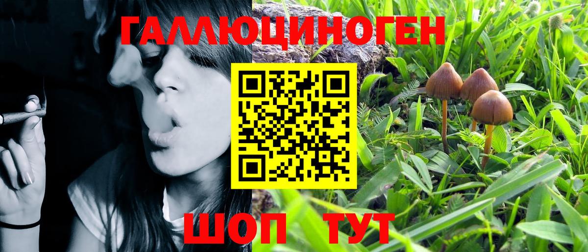 Псилоцибиновые грибы MAGIC MUSHROOMS Ишим